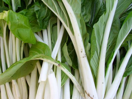 ★ドンキ♡♡ロピア雑談123★