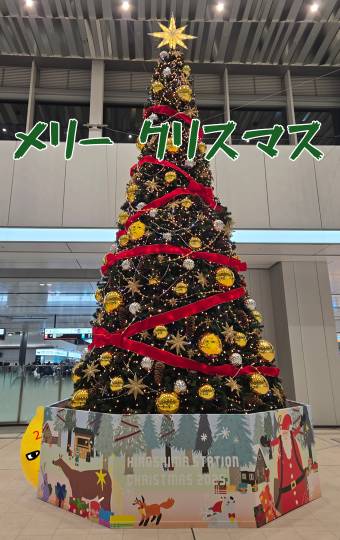 マスク同好会詰め所兼ニューフェイス歓迎所47╰⁠(⁠*⁠´⁠︶⁠`⁠*⁠)⁠╯