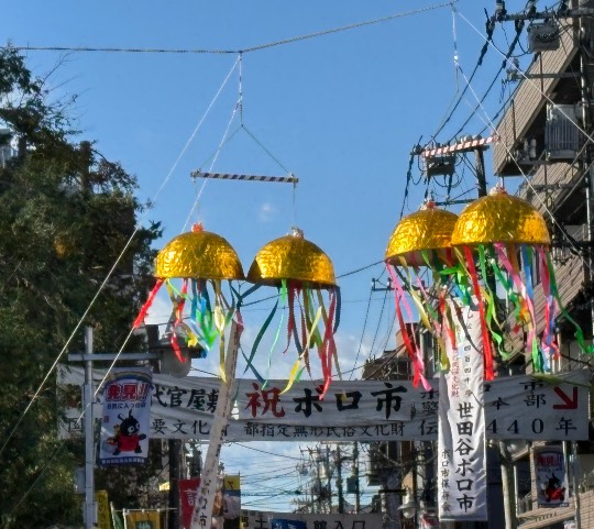 生き物ルーム76