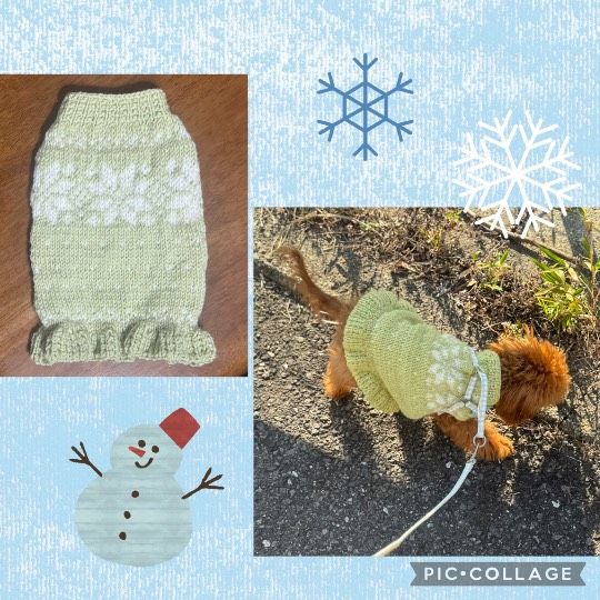 生き物ルーム76