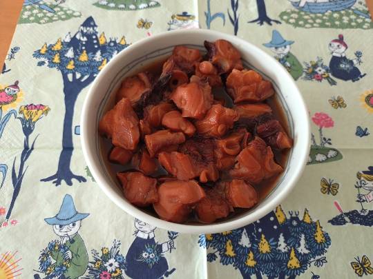 マスク同好会詰め所兼ニューフェイス歓迎所47╰⁠(⁠*⁠´⁠︶⁠`⁠*⁠)⁠╯