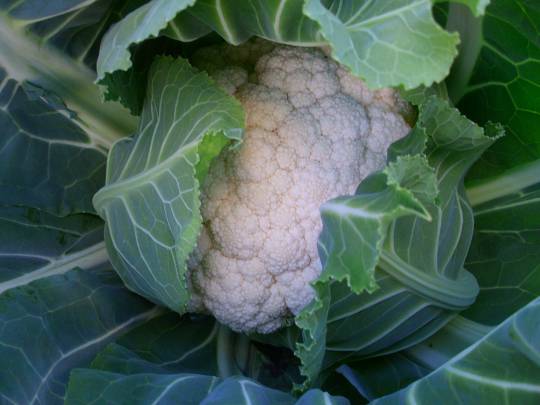 ★ドンキ♡♡ロピア雑談124★