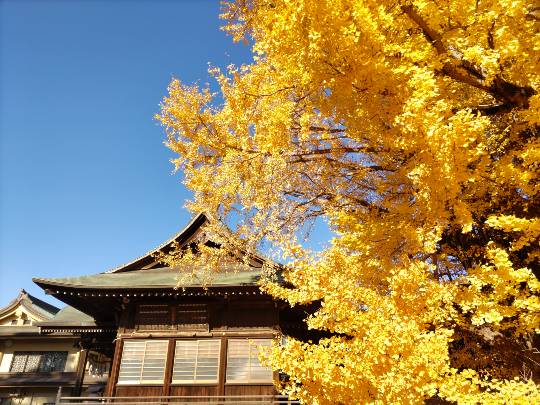 雑談お絵描き部・コラージュ部・素材提供部　No.20