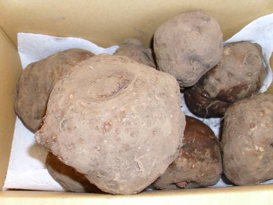 ★ドンキ♡♡ロピア雑談123★