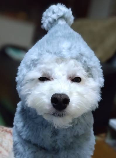 生き物ルーム76