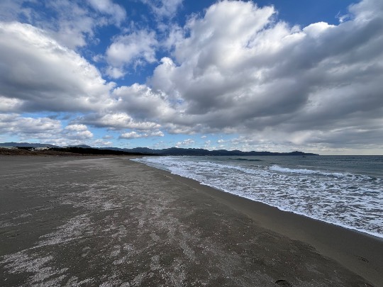 ★ドンキ♡♡ロピア雑談124★