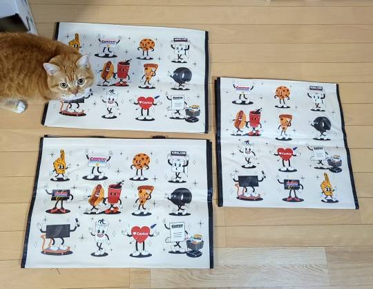 12月27日(土曜日) 　岐阜羽島倉庫店｜・シードレスグレープ　ペルー
　・ブラ...