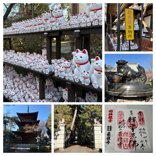 ★ドンキ♡♡ロピア雑談124★