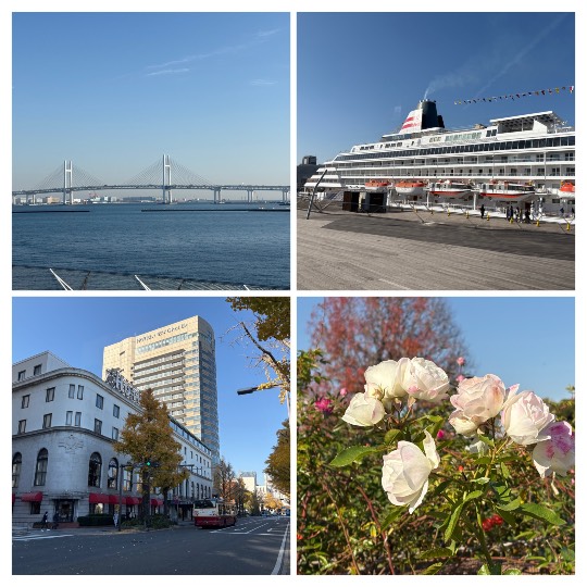 マスク同好会詰め所兼ニューフェイス歓迎所47╰⁠(⁠*⁠´⁠︶⁠`⁠*⁠)⁠╯