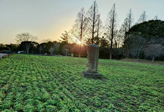 マスク同好会詰め所兼ニューフェイス歓迎所47╰⁠(⁠*⁠´⁠︶⁠`⁠*⁠)⁠╯