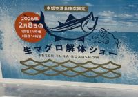 2月8日(日) 生マグロ解体ショー開催！(中部限定)