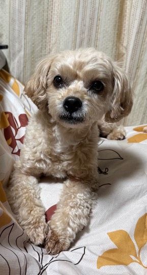 生き物ルーム76