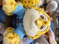 1月20日(火曜日) 　守山倉庫店｜おはようございます。
イワタニのカセッ...