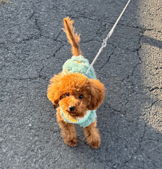 生き物ルーム76