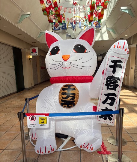 生き物ルーム76