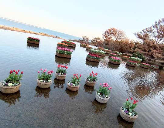 マスク同好会詰め所兼ニューフェイス歓迎所47╰⁠(⁠*⁠´⁠︶⁠`⁠*⁠)⁠╯