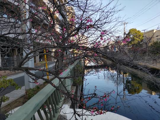 ★ドンキ♡♡ロピア雑談125★