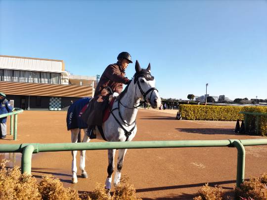 雑談お絵描き部・コラージュ部・素材提供部　No.20