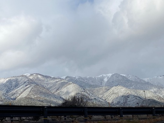 ★ドンキ♡♡ロピア雑談125★