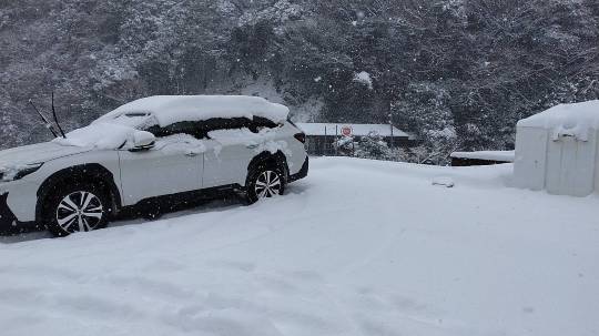 ★ドンキ♡♡ロピア雑談125★