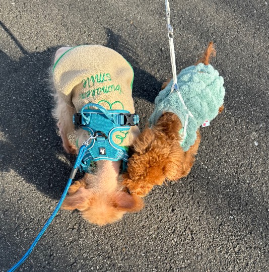 生き物ルーム76