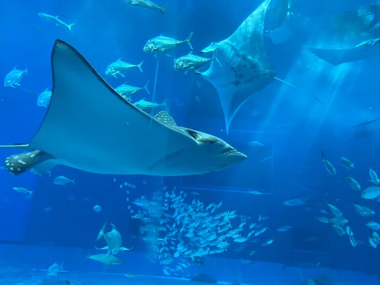 ★ドンキ♡♡ロピア雑談124★