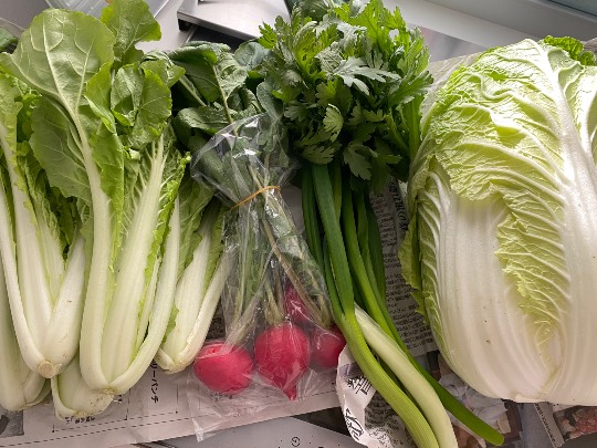 ★ドンキ♡♡ロピア雑談125★