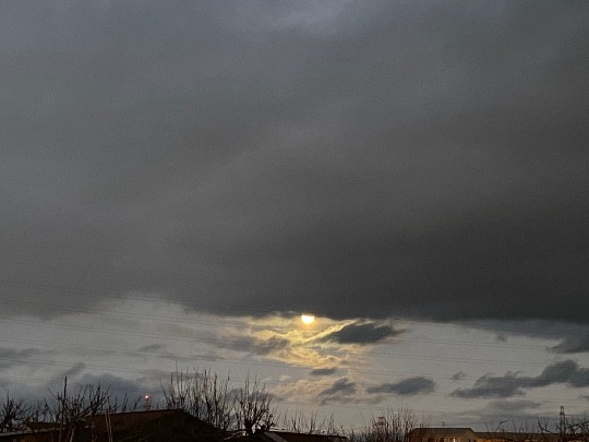 ★ドンキ♡♡ロピア雑談124★