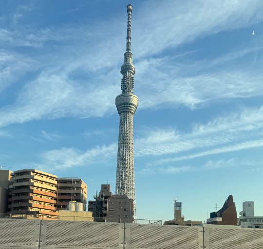 生き物ルーム76