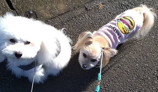 生き物ルーム76