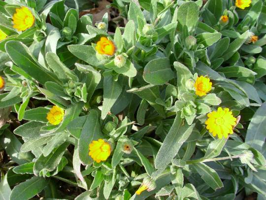 ★ドンキ♡♡ロピア雑談125★