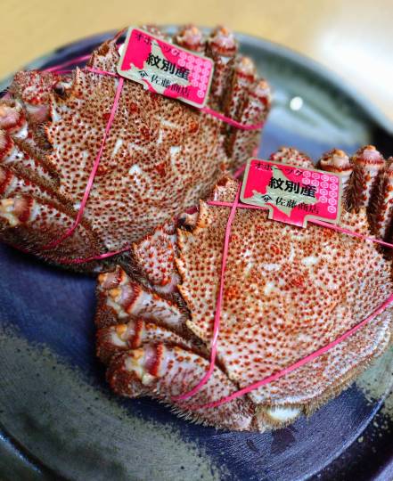 生き物ルーム76