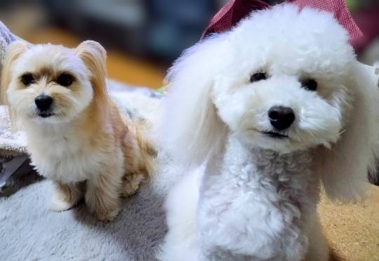 生き物ルーム76