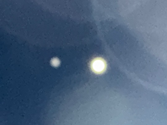 ★ドンキ♡♡ロピア雑談124★