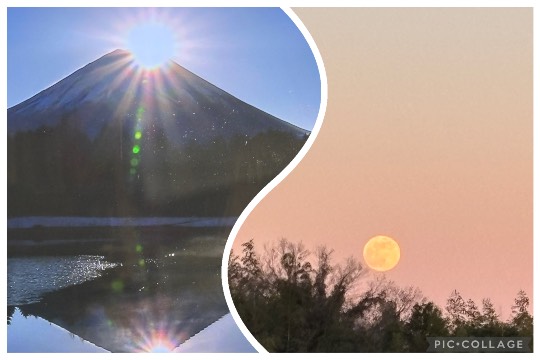 ★ドンキ♡♡ロピア雑談124★