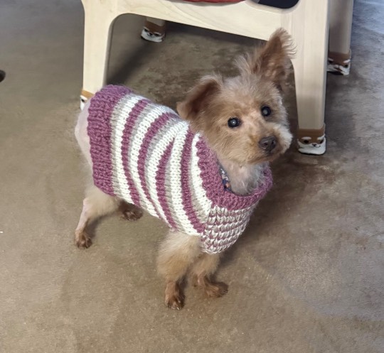 生き物ルーム76