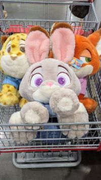 1月21日(水曜日) 　中部空港倉庫店｜おはようございます。

いつも毎日の...