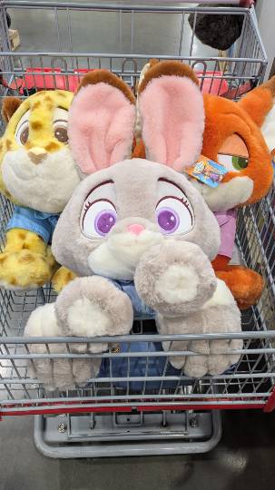 1月21日(水曜日) 　中部空港倉庫店｜おはようございます。

いつも毎日の...