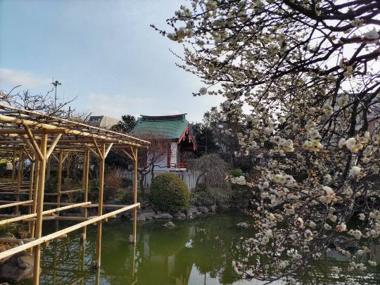 ★ドンキ♡♡ロピア雑談125★