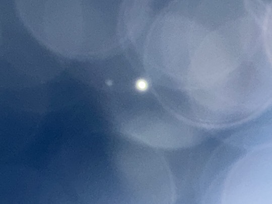 ★ドンキ♡♡ロピア雑談124★