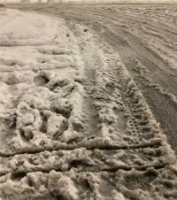 1月25日(日曜日) 　東近江倉庫店｜おはようございます
カスタードクリーム...