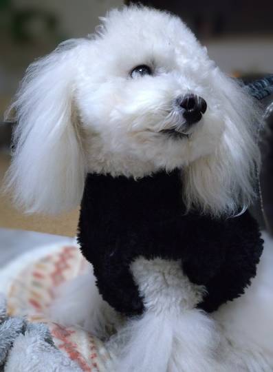 生き物ルーム76