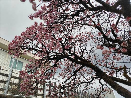 ★ドンキ♡♡ロピア雑談125★