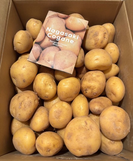 ★ドンキ♡♡ロピア雑談125★