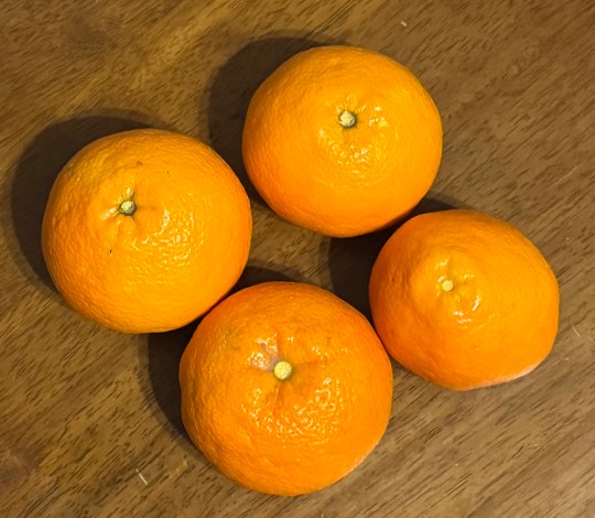 ★ドンキ♡♡ロピア雑談124★