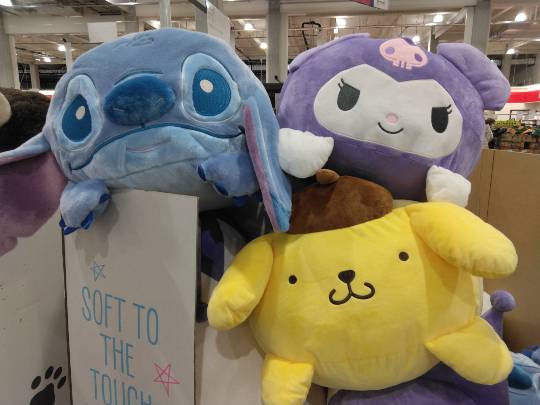 1月16日(金曜日) 守山倉庫店|おはようございます
いつもありがとうご...