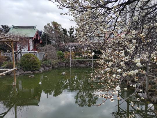 【スナックJINJIN】キッチンカー 家路を急ぐ夕暮れに 出張営業10