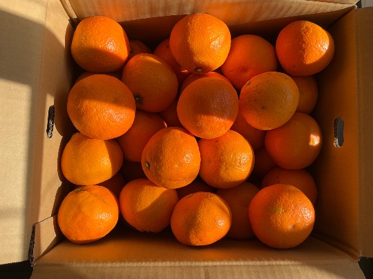 ★ドンキ♡♡ロピア雑談125★