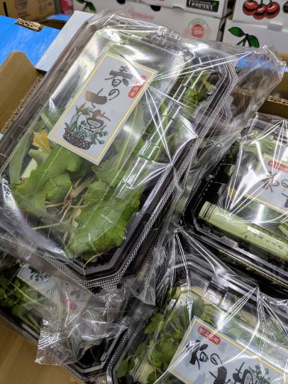 1月6日(火曜日) 　岐阜羽島倉庫店｜おはようございます
いつもありがとうご...