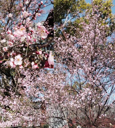 ★ドンキ♡♡ロピア雑談125★